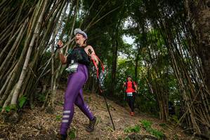 BIB: 
                            <button type="button" onclick="openModal(19396037)" class="btn btn-primary btn-sm float-right btn-popup" data-toggle="modal" data-target=".modal-high-quality">
                        <i class="fas fa-shopping-cart"></i> Add to Cart
                    </button>
                                            <button type="button" onclick="isThisMe(19396037, true)" class="btn btn-success btn-sm float-right btn-popup btn-isme hidden" data-toggle="tooltip" data-placement="bottom" title="นี่คือรูปของคุณใช่ไหม คลิกที่นี่เพื่อเอาเข้าอัลบั้ม">
                        <i class="fas fa-plus"></i> Add to album
                    </button>
                    <button type="button" onclick="isThisMe(19396037, false)" class="btn btn-warning btn-sm float-right btn-popup btn-isnotme hidden">
                        <i class="fas fa-ban"></i> Remove from album
                    </button>